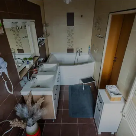 Hotel apartamentowy Herodot Timișoara