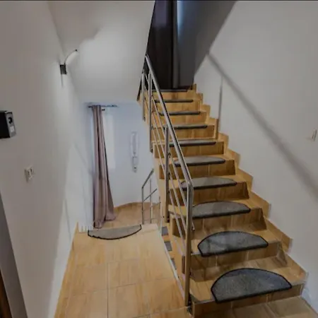 Herodot Тимишоара